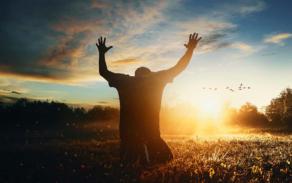 True vine Chruch images